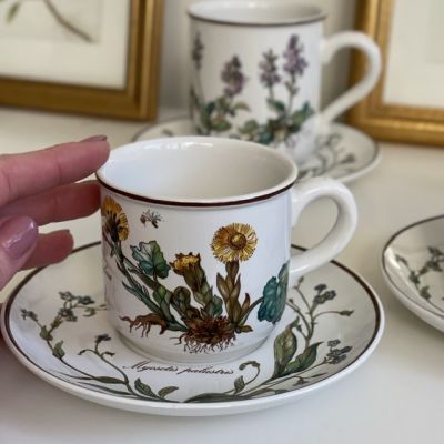 Чайная пара Botanica ВиллеройБох 180 мл Люксембург