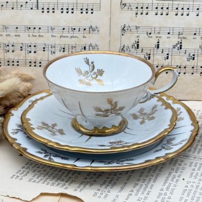 Чайное трио Unger & Schilde Roschutzer Шиповник 220 мл Германия