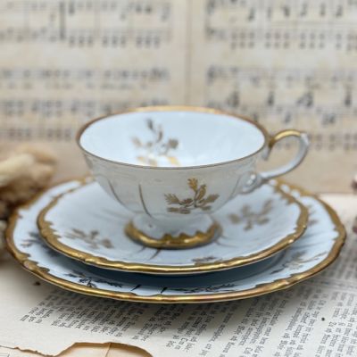 Чайное трио Unger & Schilde Roschutzer Шиповник 220 мл Германия