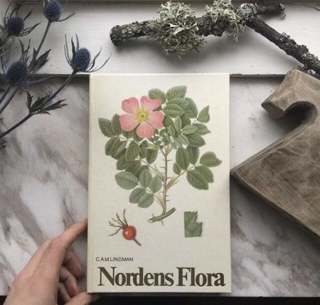 Книга Nordens Flora 5 том ботаническая энциклопедия 
