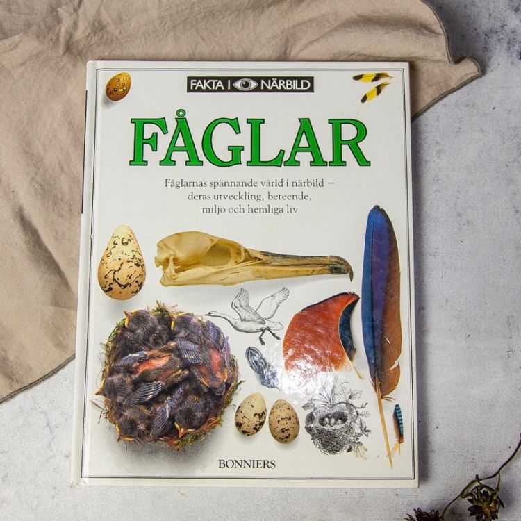 Книга Faglar о птицах в жестком переплете 64 стр.