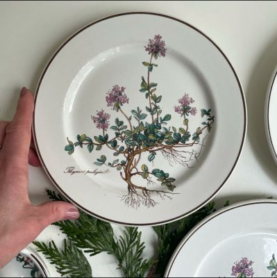 Тарелка для завтрака Botanica 21 см 2 категория Thymus ВиллеройБох