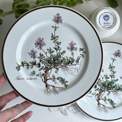 Тарелка для завтрака Botanica 21 см 2 категория Thymus ВиллеройБох