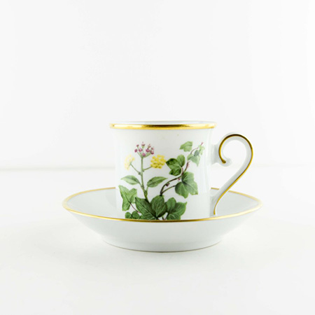 Кофейная пара Eschenbach, цветок плюща серия ботаника