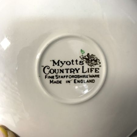 Чайная пара Myotts Country Life 200 мл Англия цветное блюдце