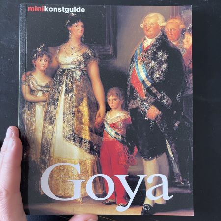 Книга Goya 95 стр.