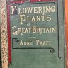 Литография 14х22 см Flowering Plants by Anne Pratt № 111 Англия