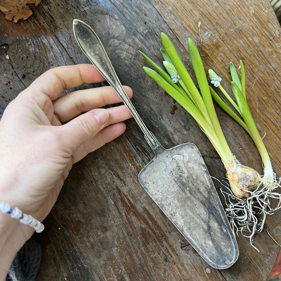 Лопатка для десерта Лепесток 23 см мельхиор патина