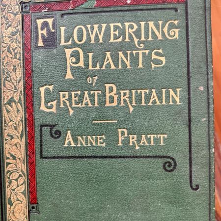Литография 14х22 см  Flowering Plants by Anne Pratt № 3 Англия 