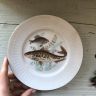 Тарелка 19см Bavaria рыбы рисунок 2 fish
