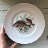 Тарелка 19см Bavaria рыбы рисунок 4 fish