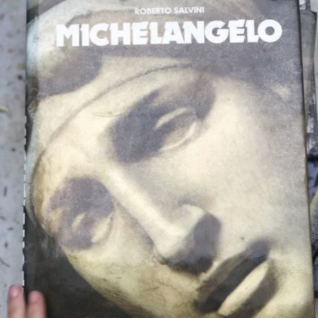 Книга Roberto Salvini Michelangelo 1979 г.