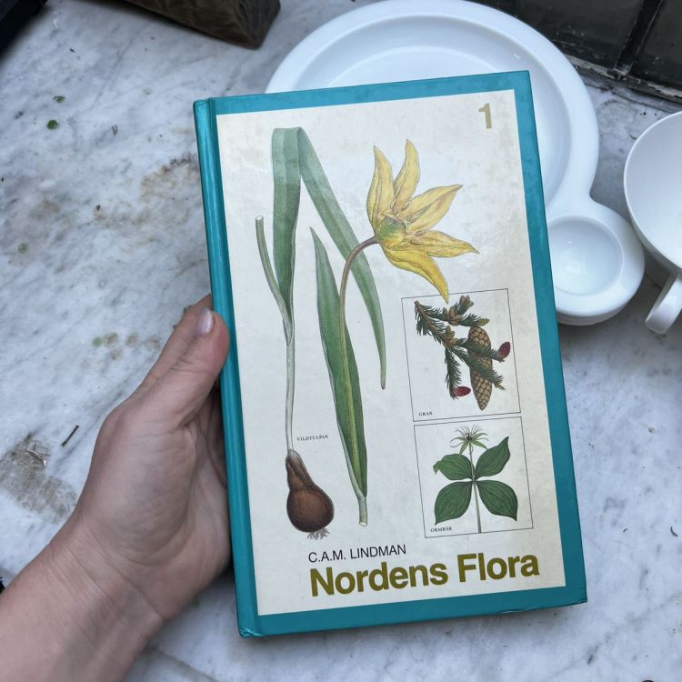 Книга Nordens Flora 1 том