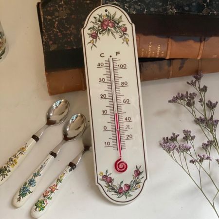 Термометр Botanica ВиллеройБох 25 см (неверные показания)