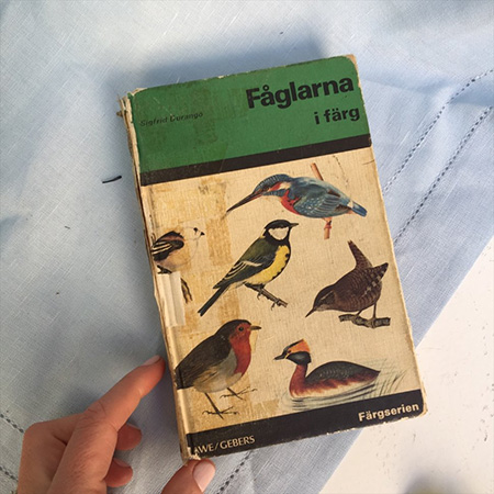 Книга Энциклопедия птицы малая 