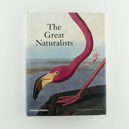 Книга The Great naturalist