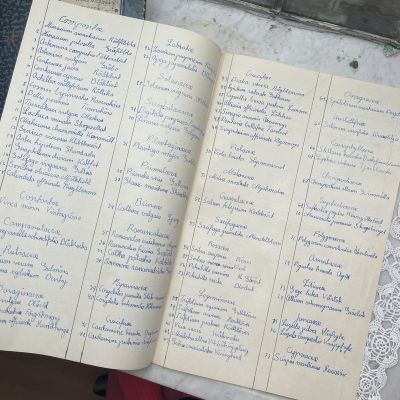 Лист гербария Hans Nilsson Швеция