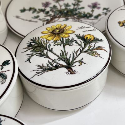 Шкатулка Botanica Adonis vernaes 11 см ВиллеройБох