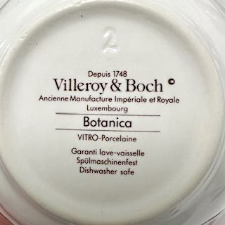 Розетка Botanica ВиллеройБох 12 см 