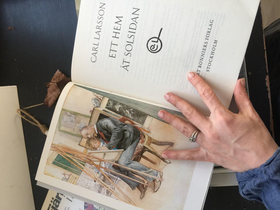 Карл Ларссон книга