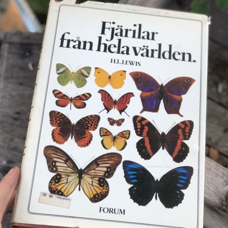 Книга о бабочках Голландия 1974 г.
