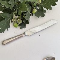 Нож-пилка 23 см лезвие сталь ручка серебрение