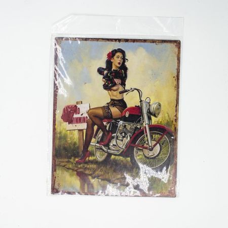Табличка декоративная Девушка на мотоцикле