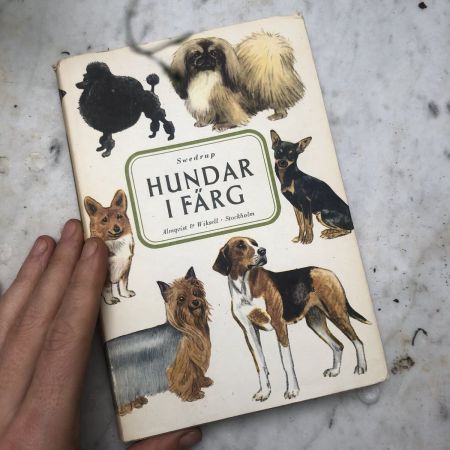 Книга Hundar I Farg 1961 г. Швеция