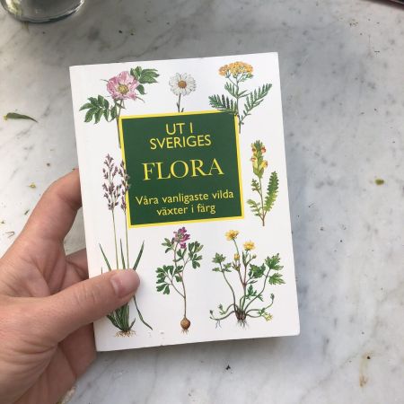 Книга UT I Seriges Flora 2004 г.