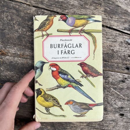 Книга Burfaglar i Farg в твердом переплете 156 стр.