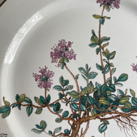 Тарелка для завтрака Thymus Botanica 21 см 80-90-е ВиллеройБох