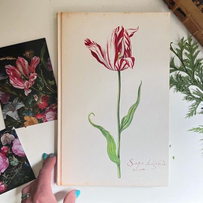 Книга о тюльпанах Tulipbook Нидерланды с переводом