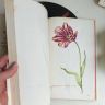 Книга о тюльпанах Tulipbook Нидерланды с переводом