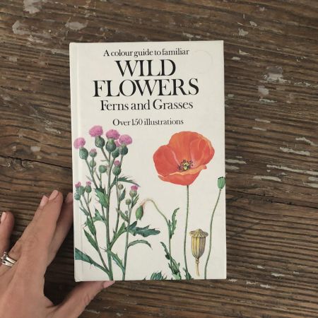 Книга Wild flovers Ferns and Grasses на английском 1973 г.