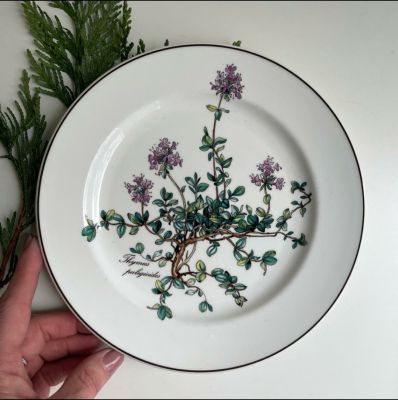 Тарелка для завтрака Botanica 21 см 2000-е ВиллеройБох без корешка