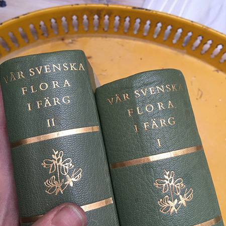 Книга Var Svenska Flora i Farg 1958 год том I и II