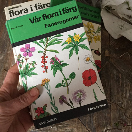 Ботаническая энциклопедия Var flora i frorg Ivan Elvera