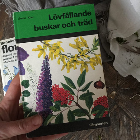 Ботаническая энциклопедия Var flora i frorg Green Kiaer
