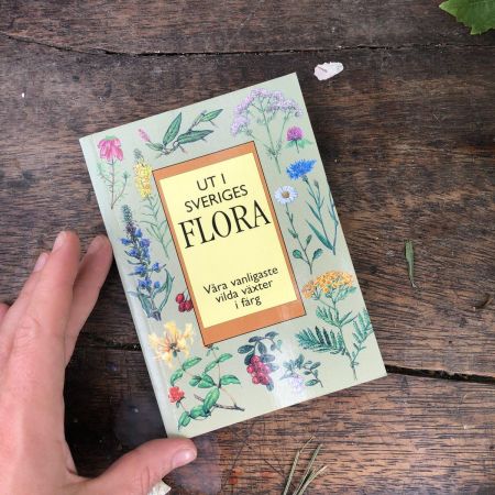 Книга Ut i Sveriges Flora Швеция
