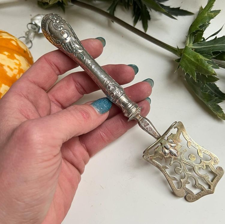 Лопатка для спаржи 17 см ручка серебро     