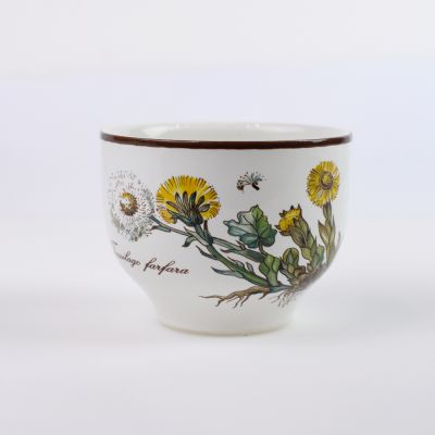 Чаша Botanica ВиллеройБох 250 мл