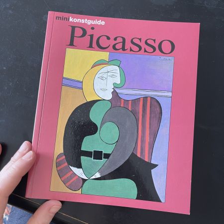 Книга Picasso 95 стр.