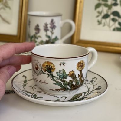 Чайная пара Botanica ВиллеройБох капучино 220 мл Германия