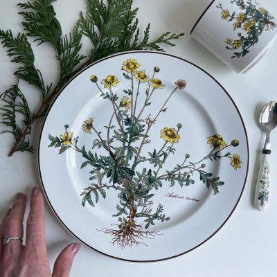 Тарелка ВиллеройБох Botanica Anthemis tinctoria 24 см